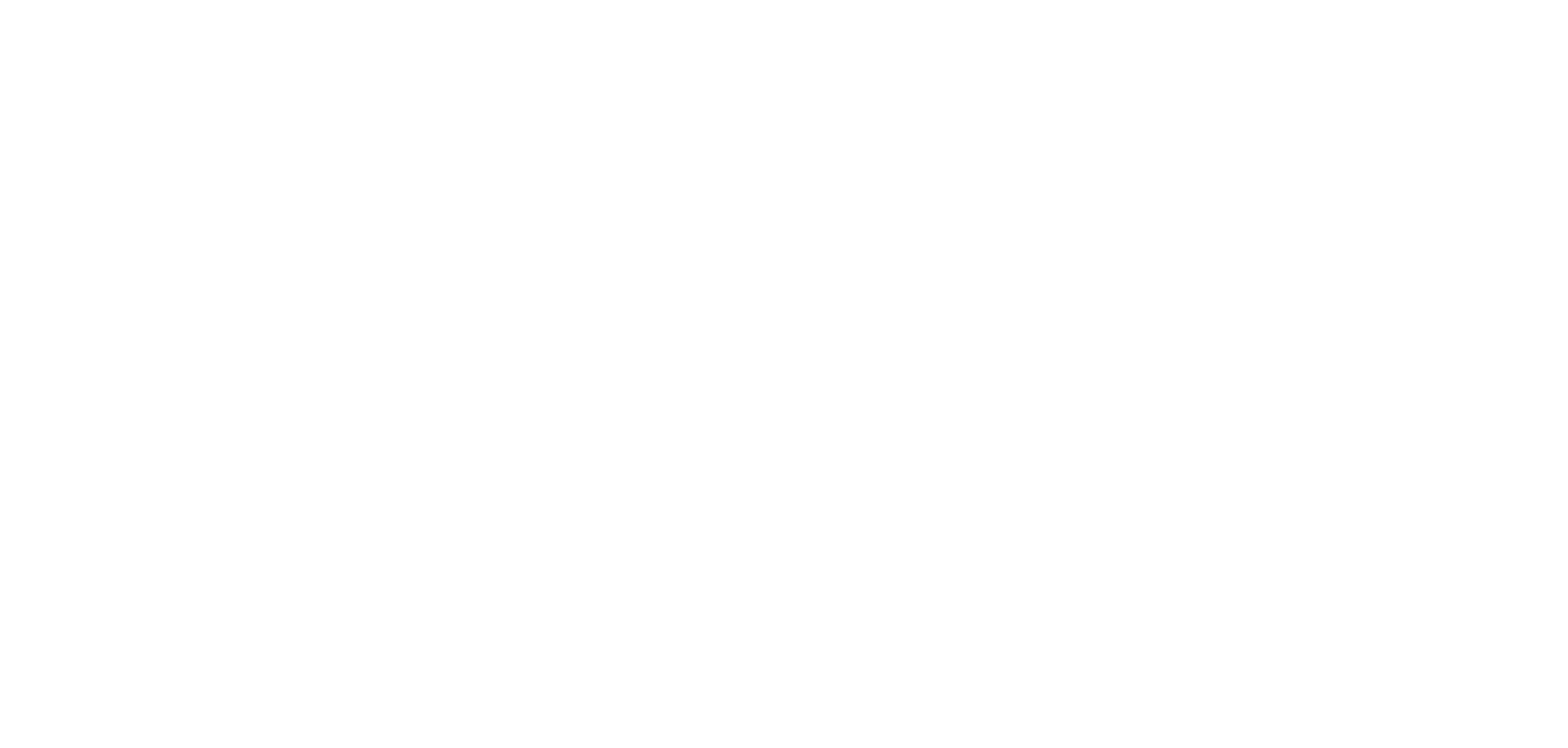 South Florida_Inc_white.png